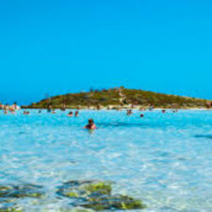 Meet your Posher, Andrianna